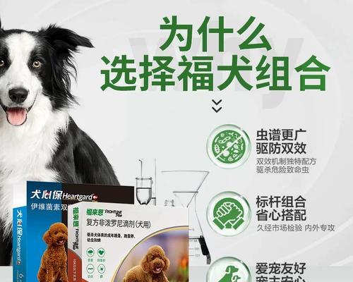 小狗打虫药物选择与使用方法全攻略｜宠物健康守护指南