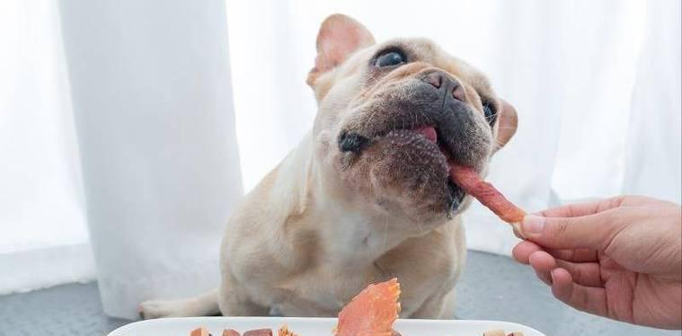 没满月小狗饮食指南｜科学喂养全攻略(图1)