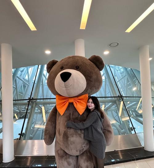 超级大泰迪叫什么名字｜巨型泰迪犬命名全攻略