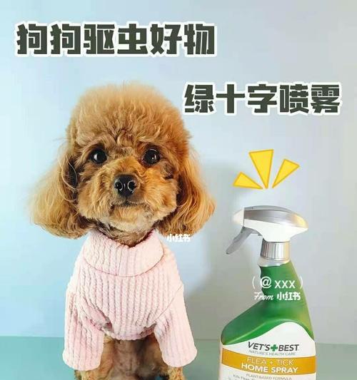 狗狗拉绿便的治疗方法及药物推荐｜实用指南