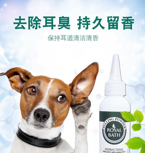 狗狗露齿行为全攻略：理解原因与正确应对方法(图3)