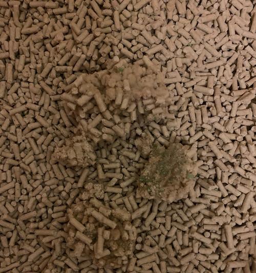 膀胱结晶形成原因与治疗全攻略|轻松应对泌尿系统不适(图2) 膀胱结晶形成原因与治疗全攻略|轻松应对泌尿系统不适(图2)