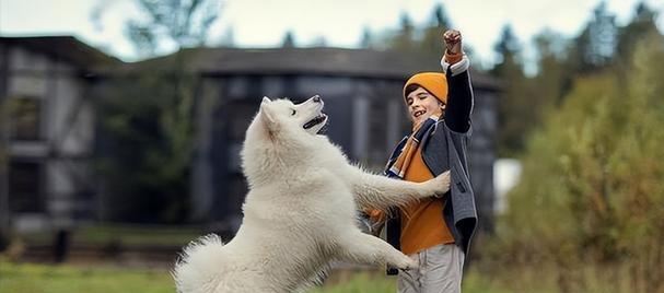 半岁萨摩耶饮食指南｜科学喂养关键要点全攻略(图2)