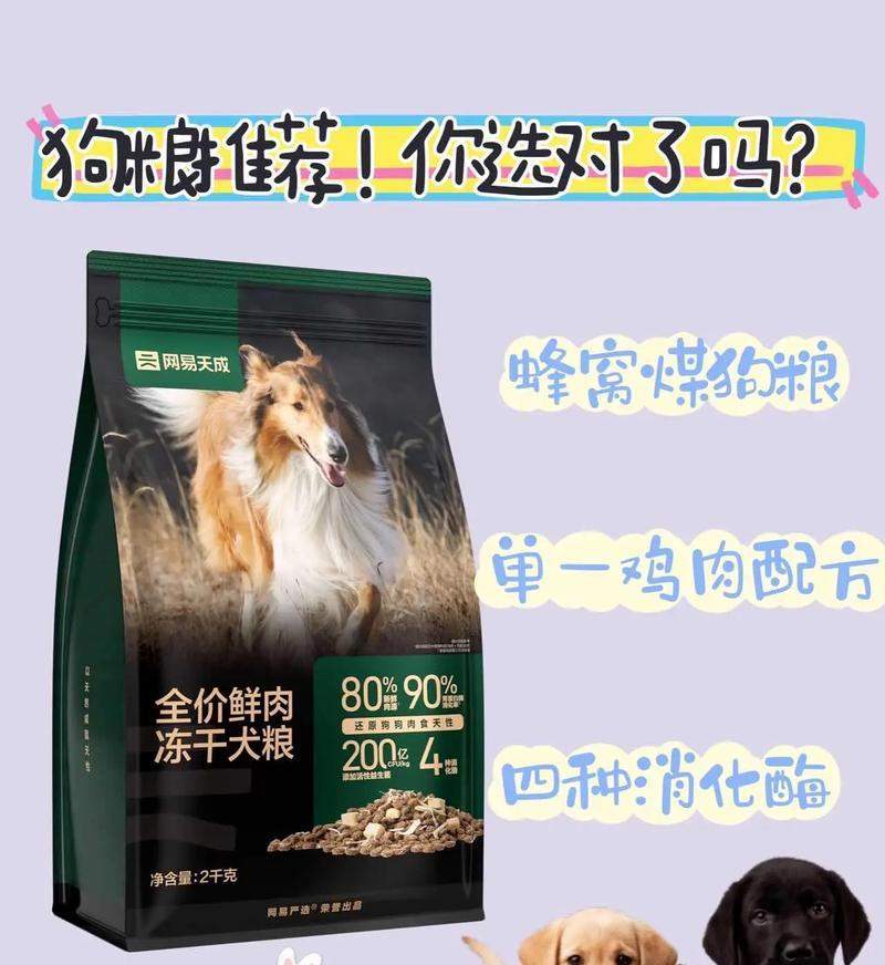 狗狗胃部消化不好怎么办｜实用饮食调理指南(图2)