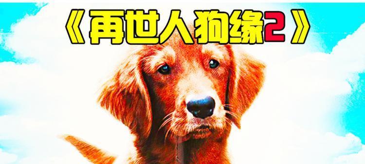 狗年出生的人有哪些好处|性格特点与人生优势全攻略(图2) 狗年出生的人有哪些好处|性格特点与人生优势全攻略(图2)