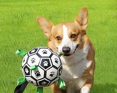 狗狗玩具的好处｜让宠物更快乐健康聪明