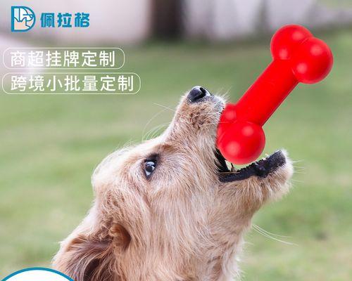 狗狗玩具的好处|让宠物更快乐健康聪明(图3) 狗狗玩具的好处|让宠物更快乐健康聪明(图3)