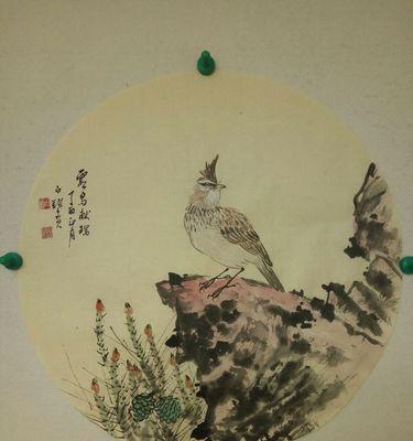 成年百灵鸟主要食物及饮食习性｜全面解析与保护指南