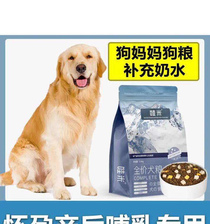 泰迪狗粮拌肉vs拌蔬菜的区别｜实用指南