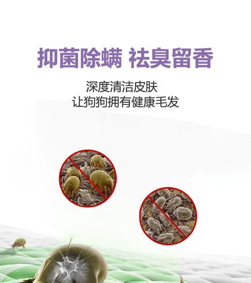 如何选择适合泰迪的护毛素｜实用指南全攻略(图1)