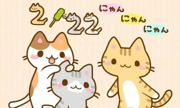 日本人给猫起什么名字大全｜日本猫咪取名文化与趋势指南(图2)