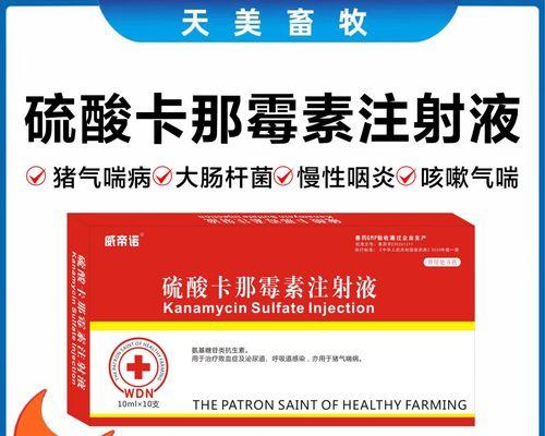 狗老喘的治疗方法与护理全攻略｜宠物健康实用指南