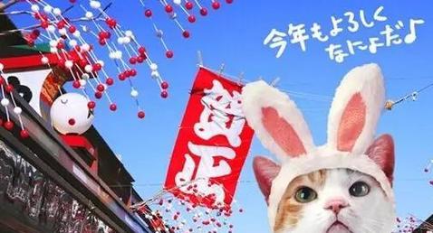 日本人给猫起什么名字大全｜日本猫咪取名文化与趋势指南