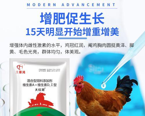 边牧美毛饮食秘籍｜科学喂养让毛发更亮丽(图2)