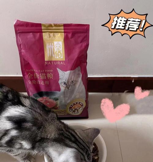 边牧美毛饮食秘籍｜科学喂养让毛发更亮丽(图1)