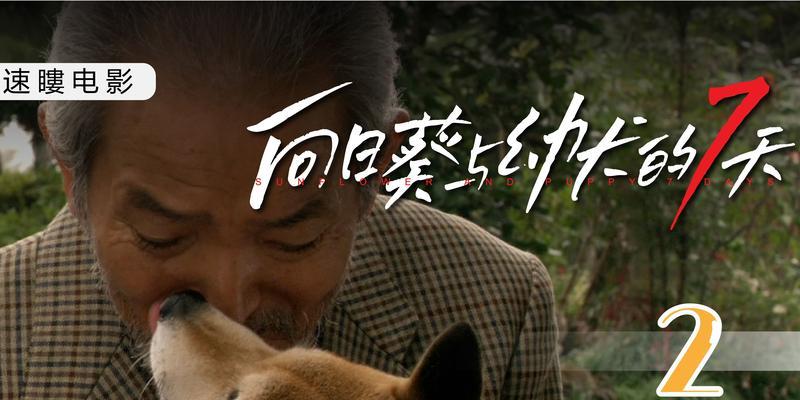 狗安乐死全攻略｜如何尊严离别爱犬(图2)