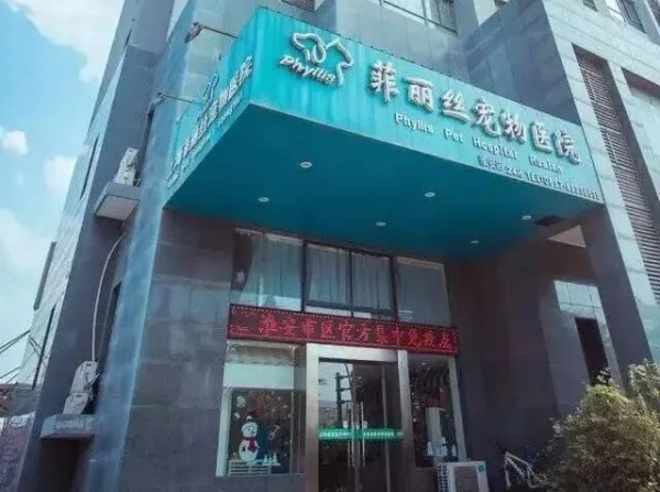 宠物医生当选人大代表｜推动三四线城市宠物医疗发展全攻略(图2)