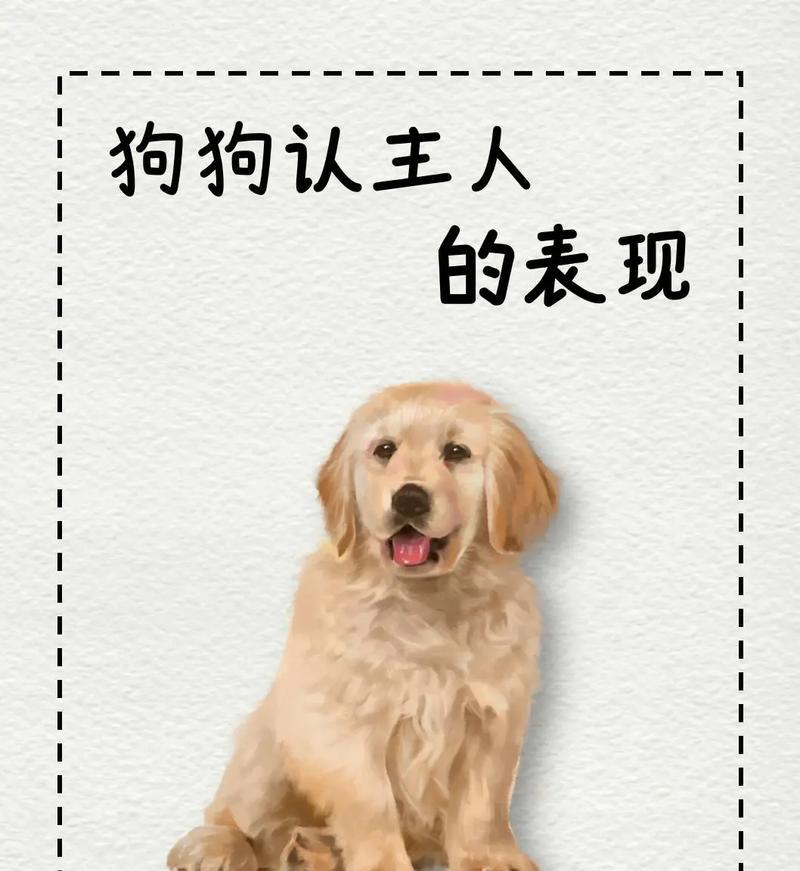 小狗摇尾巴的真正含义｜实用指南全解(图1)