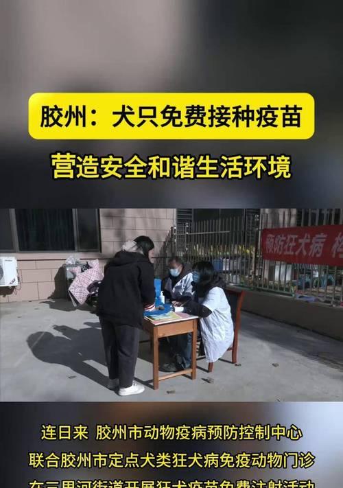 狗狗疫苗反应与预防措施｜宠物健康免疫指南(图3)