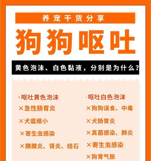 狗狗吃多了呕吐怎么办？实用指南｜快速缓解呕吐症状(图2)