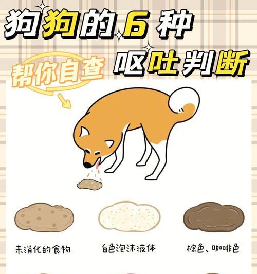 狗狗吃多了呕吐怎么办？实用指南｜快速缓解呕吐症状(图3)