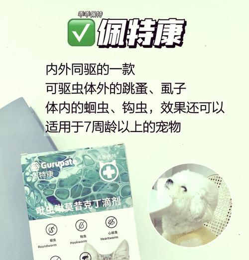 狗狗驱虫全攻略｜选择正确驱虫药保护宠物健康(图2)