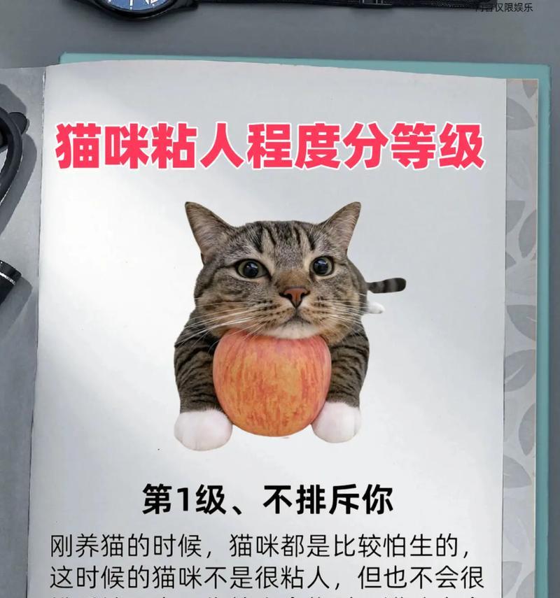 了解猫的品种多样性|宠物猫品种特点全攻略(图2) 了解猫的品种多样性|宠物猫品种特点全攻略(图2)