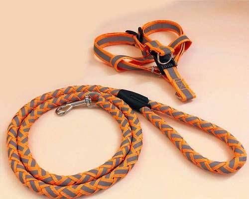 金毛牵引绳使用指南｜选择与技巧全攻略(图3)