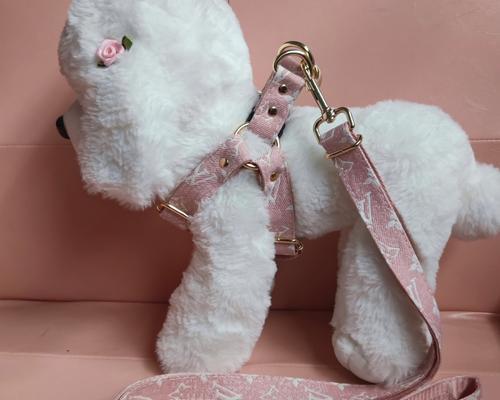 金毛牵引绳使用指南｜选择与技巧全攻略(图1)