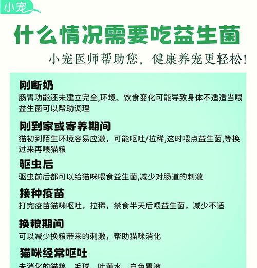 猫咪分娩前需准备的药物指南｜实用护理全攻略(图1)
