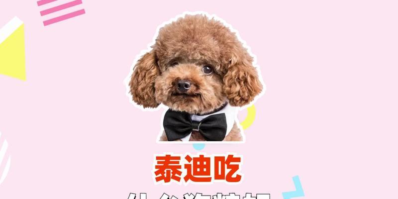 泰迪狗增肥食谱｜科学喂养帮助狗狗健康增重