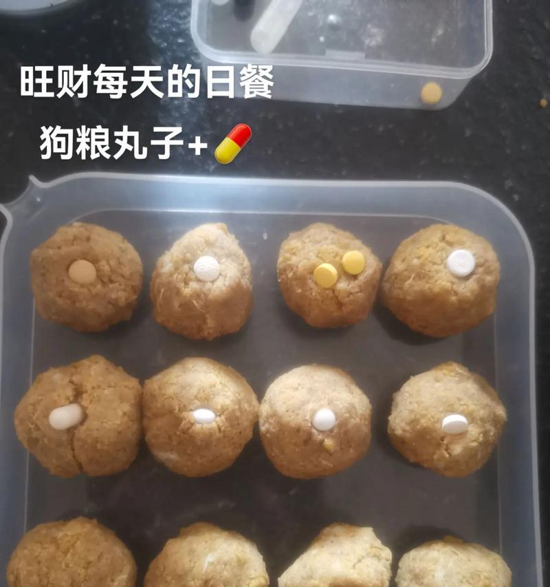 小狗不吃狗粮怎么办｜15种营养替代食物全攻略(图3)