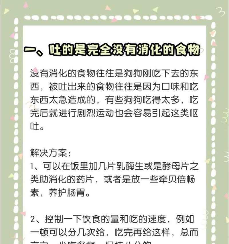 狗狗夏天呕吐原因及预防方法|实用指南(图3) 狗狗夏天呕吐原因及预防方法|实用指南(图3)