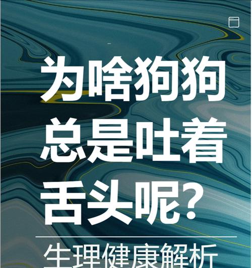 狗狗夏天呕吐原因及预防方法|实用指南(图2) 狗狗夏天呕吐原因及预防方法|实用指南(图2)