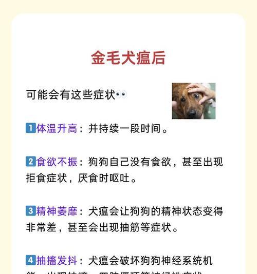 狗狗犬瘟晚期症状及护理全攻略｜宠物健康守护指南