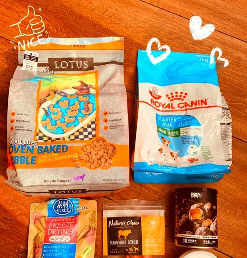 3个月比熊幼犬护理全攻略｜新手养犬必备指南(图2)