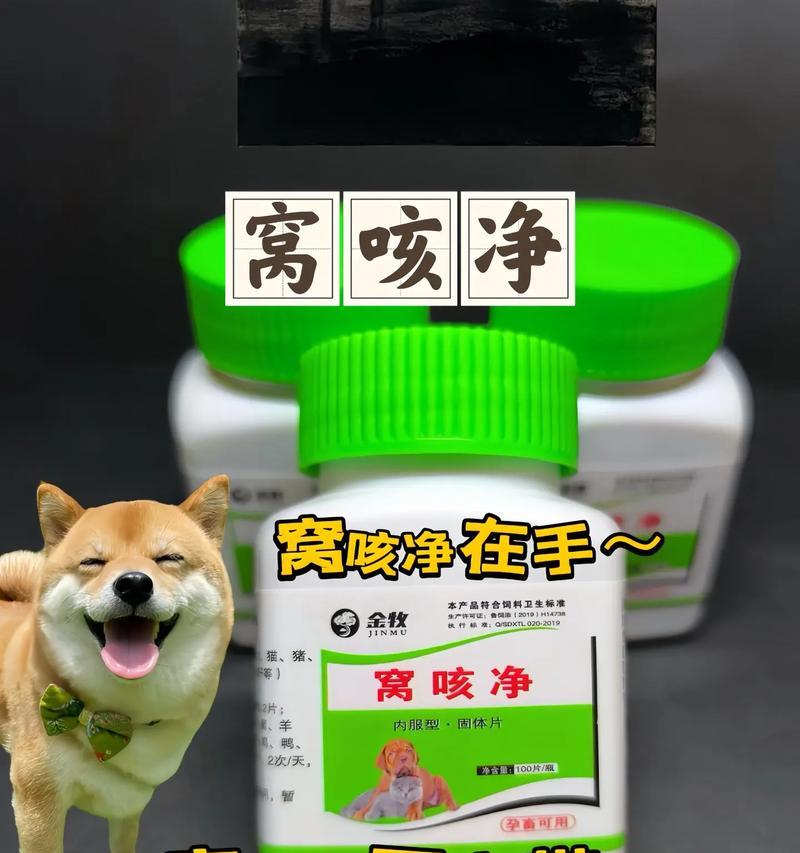 狗咳嗽治疗全攻略｜快速缓解咳嗽的关键药物与方法(图3)