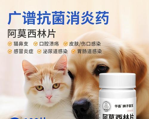 狗狗感冒治疗全攻略|药物与护理措施指南(图1) 狗狗感冒治疗全攻略|药物与护理措施指南(图1)