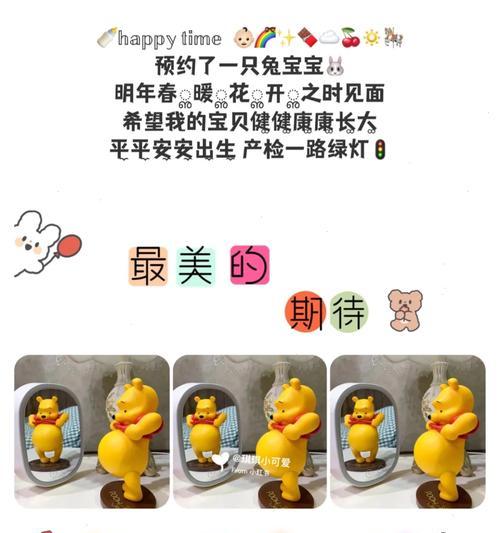 兔子怀孕饮食要点|科学安排营养助力健康分娩(图2) 兔子怀孕饮食要点|科学安排营养助力健康分娩(图2)