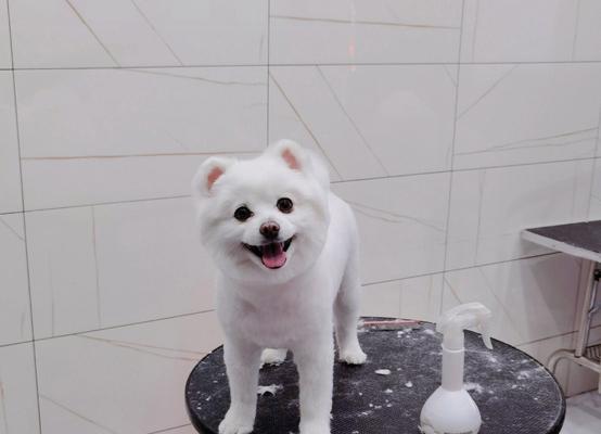 嘴唇下面长毛的原因与解决办法｜实用指南(图2)