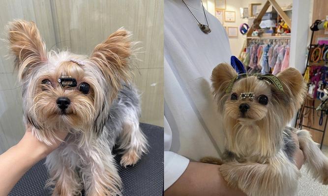 嘴唇下面长毛的原因与解决办法｜实用指南(图3)