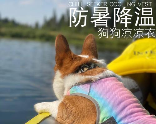 狗狗中暑发烧急救指南|打针前后的关键处理方法(图2) 狗狗中暑发烧急救指南|打针前后的关键处理方法(图2)