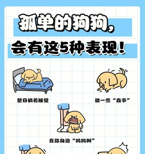 狗狗无精原因及应对方法｜实用指南