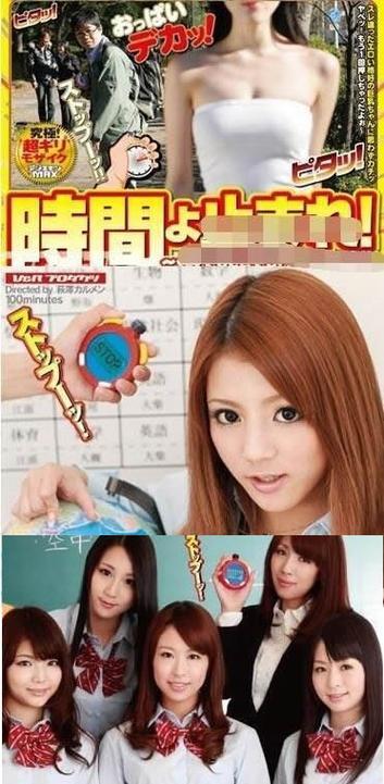 赫曼陆龟饲养全攻略｜新手必备实用指南(图2)