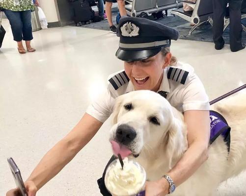 如何合法接狗狗到机场｜详细手续与步骤全攻略(图2)