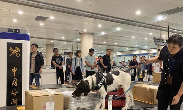 如何合法接狗狗到机场｜详细手续与步骤全攻略(图3)