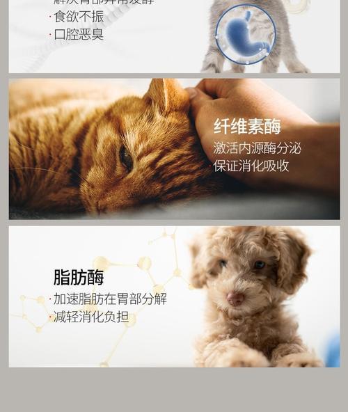 狗狗肠胃宝全攻略｜功效、使用方法与选择指南(图3)