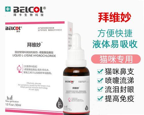 小猫感冒用药全攻略｜有效治疗与护理指南