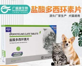 小猫感冒用药全攻略|有效治疗与护理指南(图3) 小猫感冒用药全攻略|有效治疗与护理指南(图3)