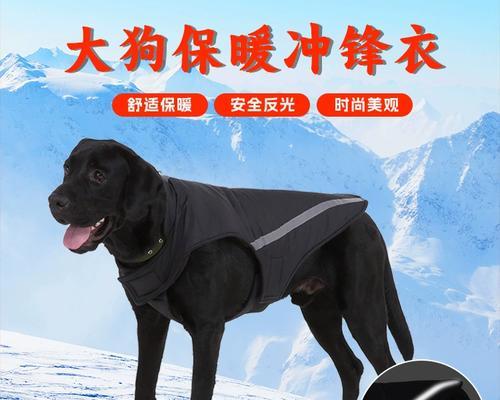 金毛狗掉毛周期与原因全攻略｜科学管理宠物毛发(图3)